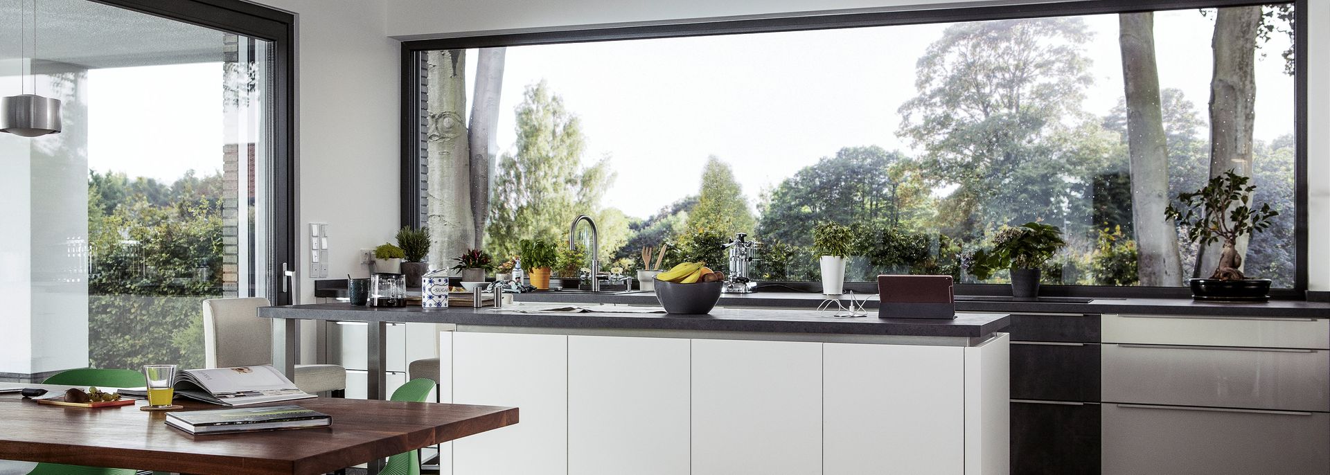 Kitchen Windows